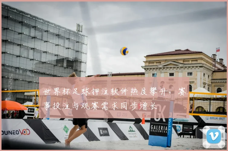 世界杯足球押注软件热度攀升,赛事投注与观赛需求同步增长