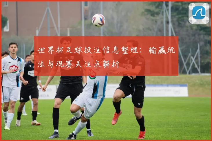 世界杯足球投注信息整理：输赢玩法与观赛关注点解析