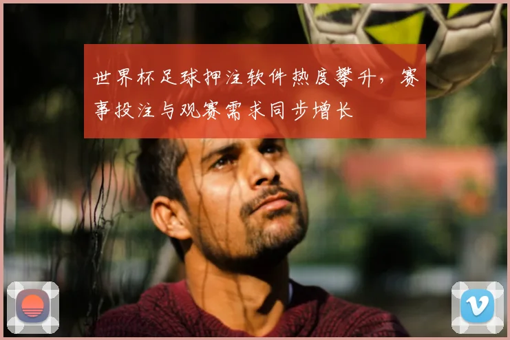世界杯足球押注软件热度攀升,赛事投注与观赛需求同步增长
