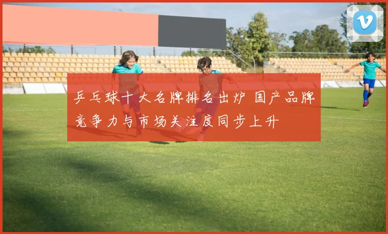 乒乓球十大名牌排名出炉 国产品牌竞争力与市场关注度同步上升