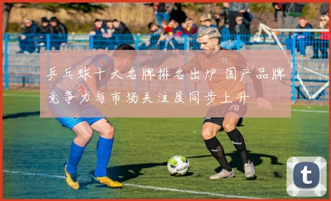 乒乓球十大名牌排名出炉 国产品牌竞争力与市场关注度同步上升
